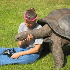 ALDABRA BREEDER