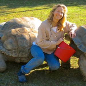 ALDABRA BREEDER