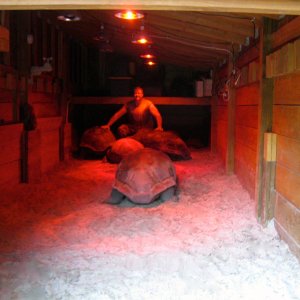 ALDABRA BREEDER