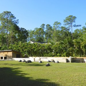 ALDABRA BREEDER