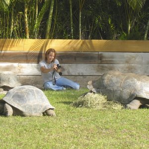 ALDABRA BREEDER
