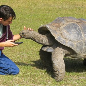 ALDABRA BREEDER