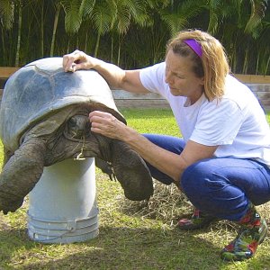 ALDABRA BREEDER