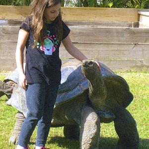 ALDABRA BREEDER