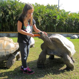 ALDABRA BREEDER