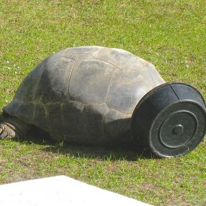 ALDABRA BREEDER