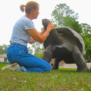 ALDABRA BREEDER