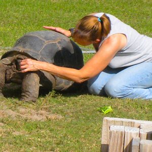 ALDABRA BREEDER