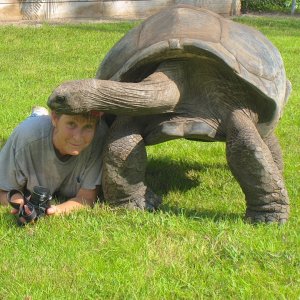 ALDABRA BREEDER