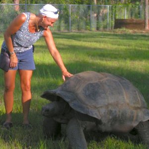 ALDABRA BREEDER