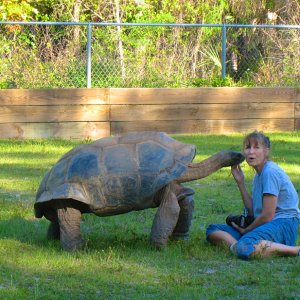 ALDABRA BREEDER