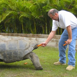 ALDABRA BREEDER