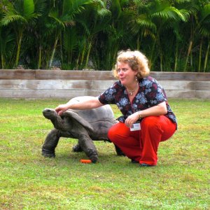 ALDABRA BREEDER