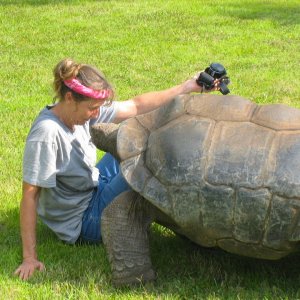 ALDABRA BREEDER