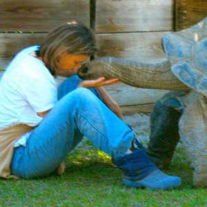 ALDABRA BREEDER