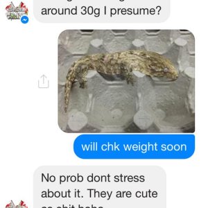 George and Keith conversation