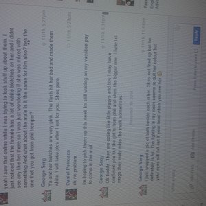 My conversation with George