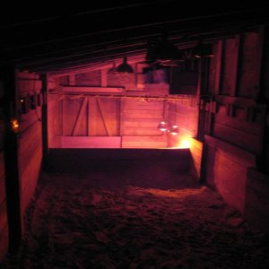 ALDABRA BREEDER
