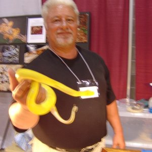 Tom Crutchfield's Yellow Chondropython and Tom