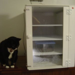 The Incubator Supervisor