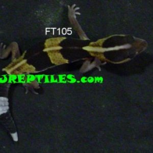 FT105A
