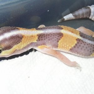 DSCN0392