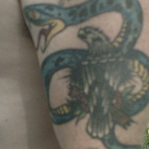 my snake tat web cam