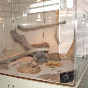 Frilled dragon cage