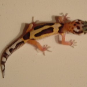 Image0012
