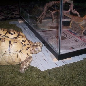 visiting