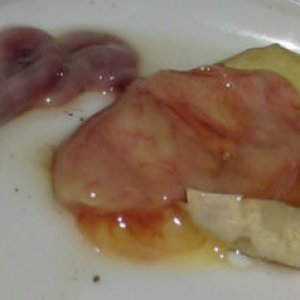 badeggpic3