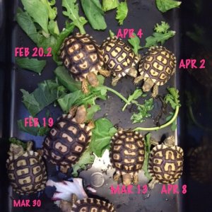 Group shot!