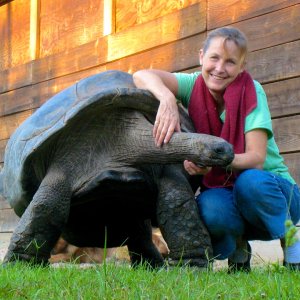ALDABRA BREEDER