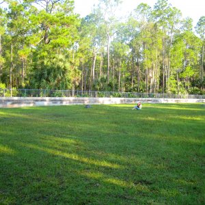 ALDABRA BREEDER