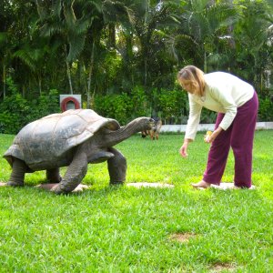 ALDABRA BREEDER