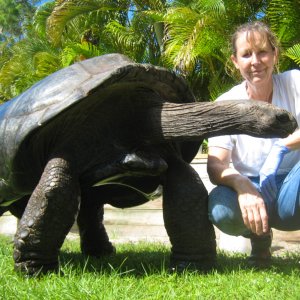 ALDABRA BREEDER