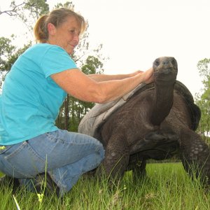 ALDABRA BREEDER