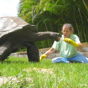 ALDABRA BREEDER