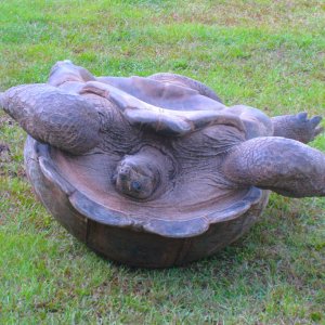 ALDABRA BREEDER