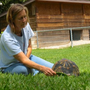 ALDABRA BREEDER
