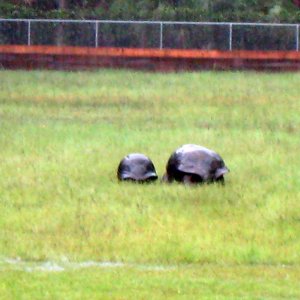 ALDABRA BREEDER