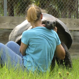 ALDABRA BREEDER