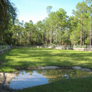 ALDABRA BREEDER