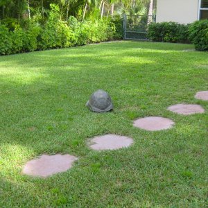 ALDABRA BREEDER