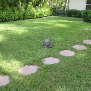 ALDABRA BREEDER