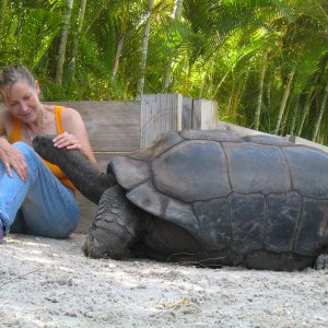 ALDABRA BREEDER