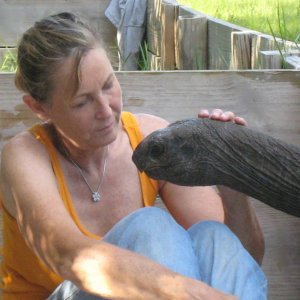 ALDABRA BREEDER