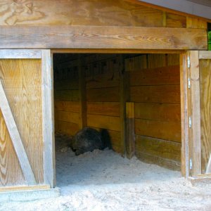 ALDABRA BREEDER