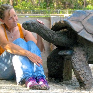 ALDABRA BREEDER