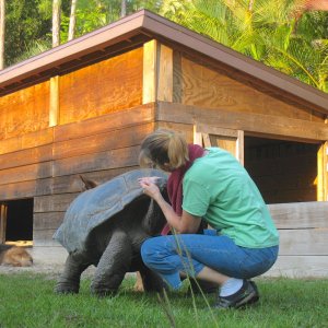 ALDABRA BREEDER